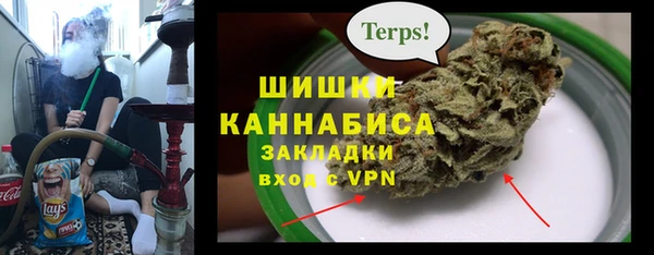 a pvp Алзамай