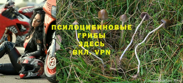 a pvp Алзамай