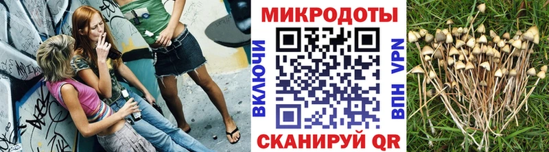 Псилоцибиновые грибы Psilocybine cubensis Удомля